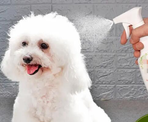 寵物洗毛水(液)進口報關代理公司(進口寵物洗毛水清關公司)